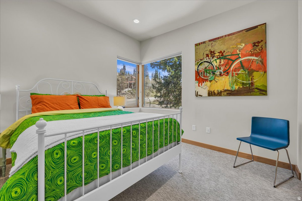 11436 E BIG COTTONWOOD CANYON RD Brighton, UT 84121