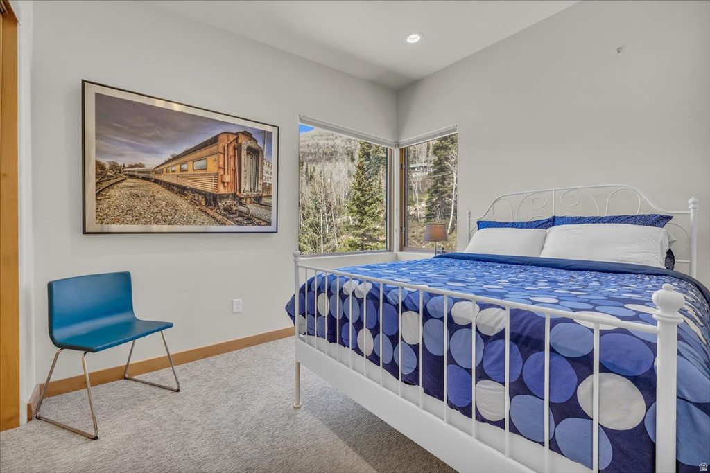 11436 E BIG COTTONWOOD CANYON RD Brighton, UT 84121