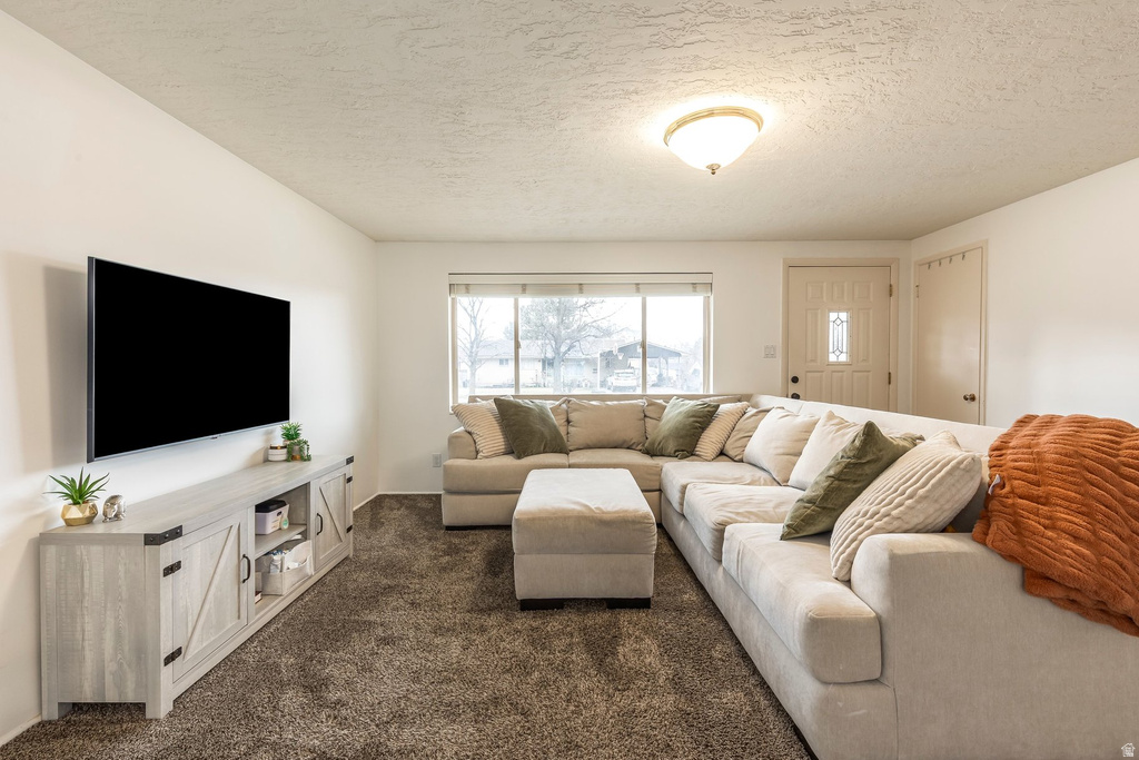 1027 E 200 N Springville, UT 84663