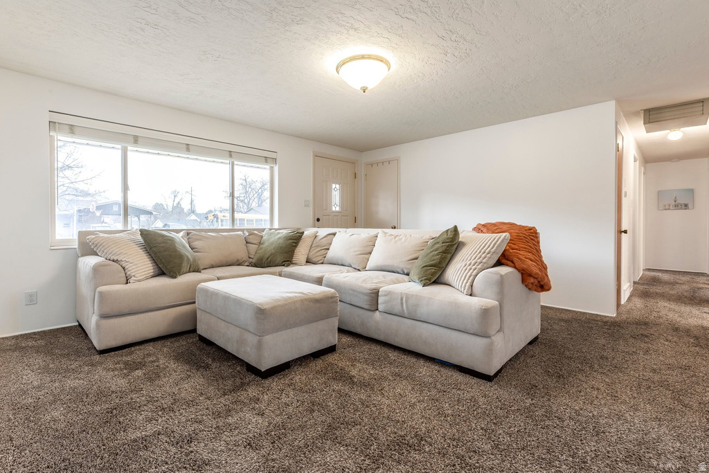 1027 E 200 N Springville, UT 84663