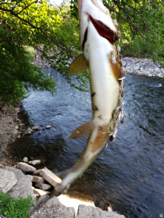 1535 SUMAC DR Logan, UT 84321