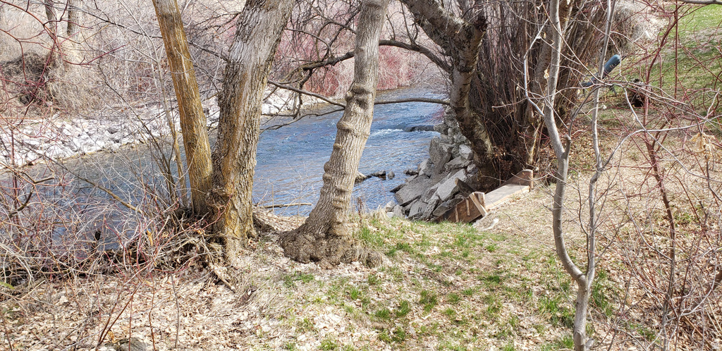 1535 SUMAC DR Logan, UT 84321