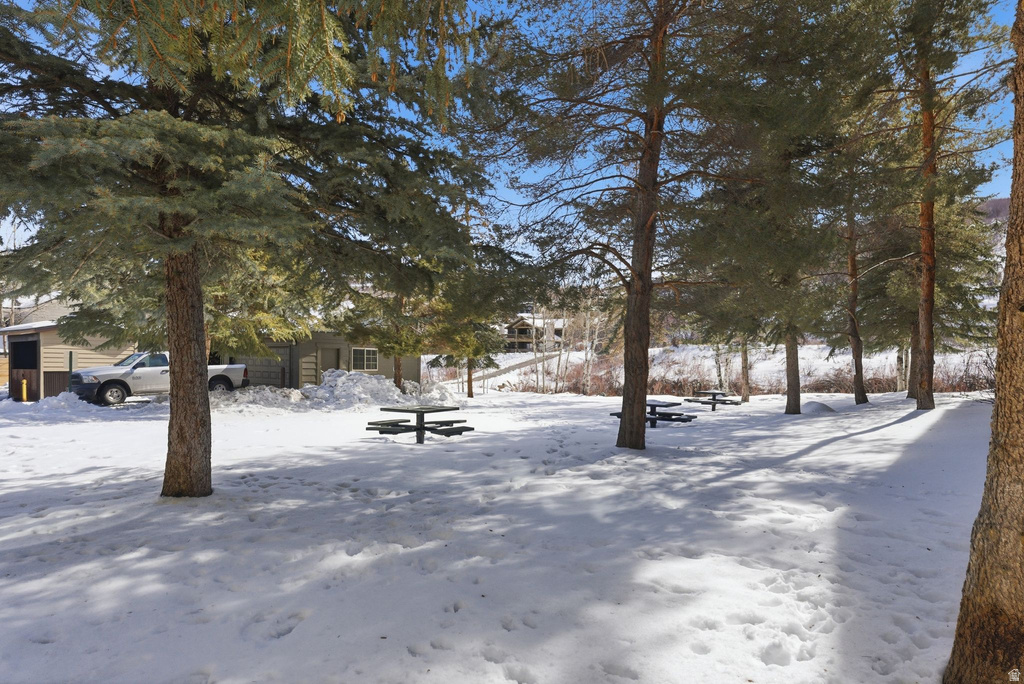 2305 SIDEWINDER DR #911 Park City, UT 84060