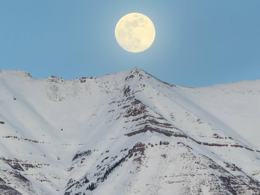 603 S 1040 E American Fork, UT 84003