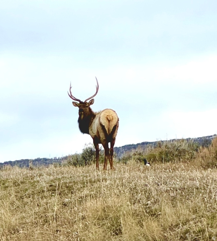 686 W DEER RD Park City, UT 84098