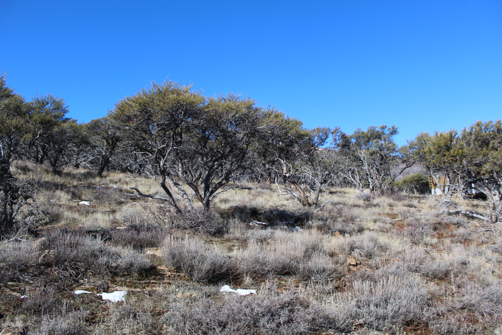 997 W CISCO RUN Garden City, UT 84028