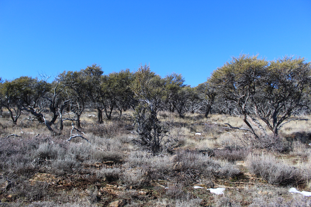 997 W CISCO RUN Garden City, UT 84028