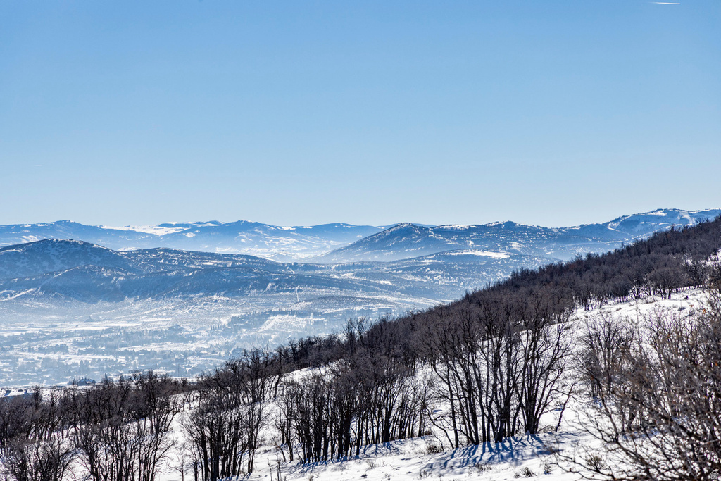 1625 W RED HAWK TRL Park City, UT 84098