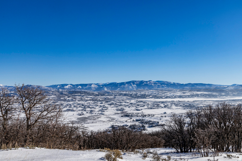 1625 W RED HAWK TRL Park City, UT 84098