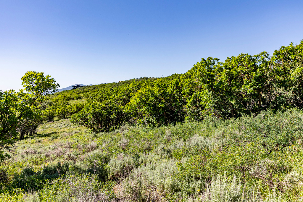 1625 W RED HAWK TRL Park City, UT 84098