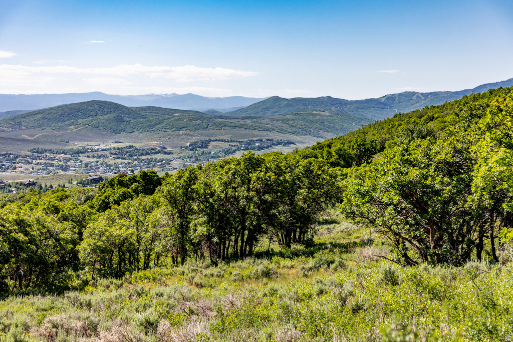 1625 W RED HAWK TRL Park City, UT 84098