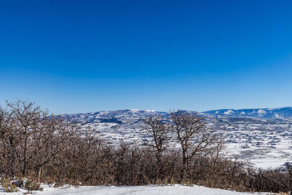 1625 W RED HAWK TRL Park City, UT 84098