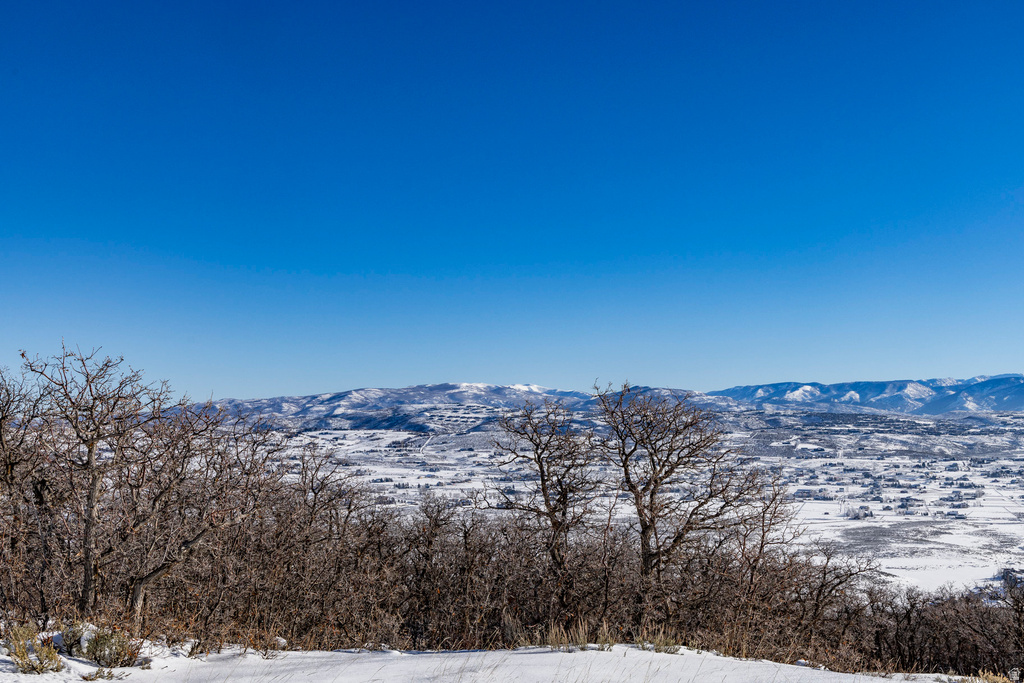 1625 W RED HAWK TRL Park City, UT 84098
