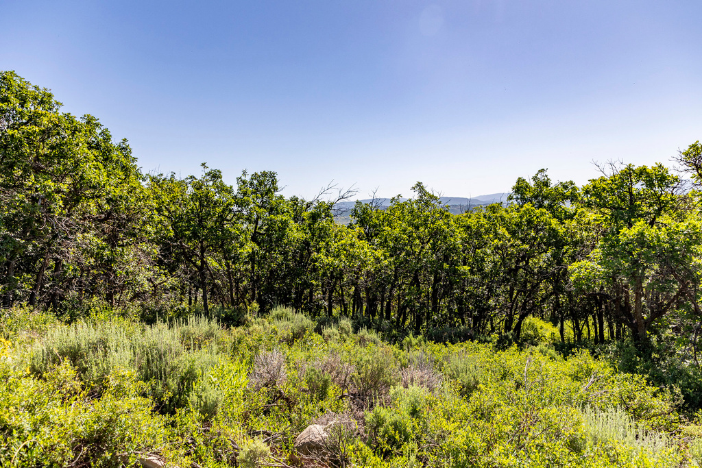 1625 W RED HAWK TRL Park City, UT 84098