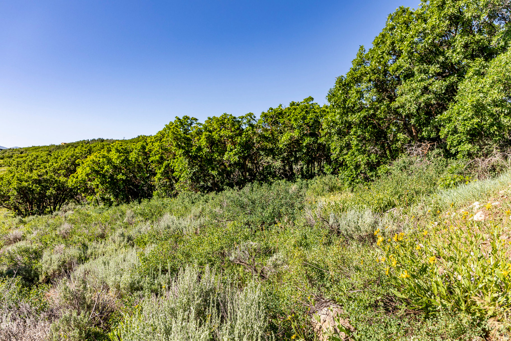 1625 W RED HAWK TRL Park City, UT 84098