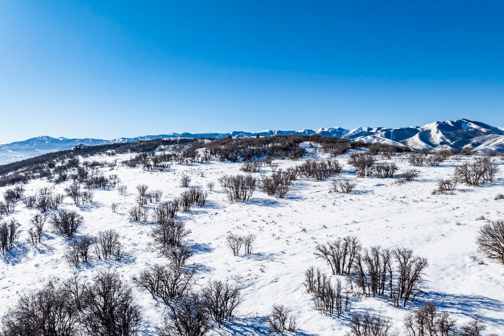 1625 W RED HAWK TRL Park City, UT 84098