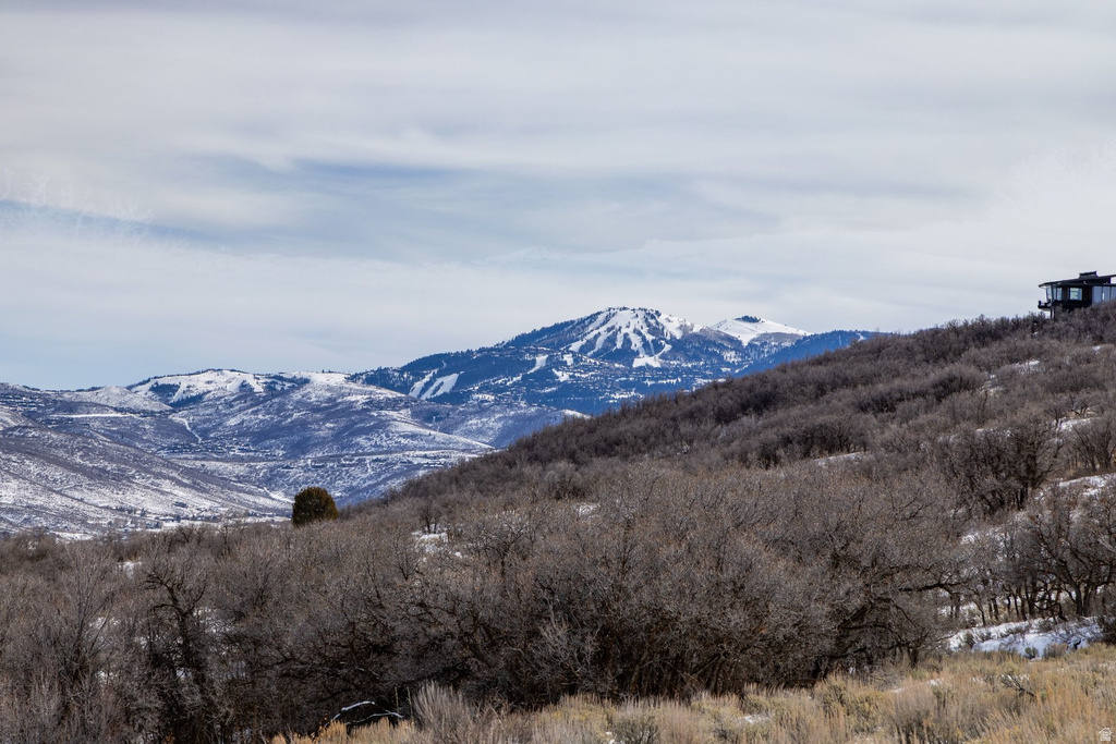 1625 W RED HAWK TRL Park City, UT 84098