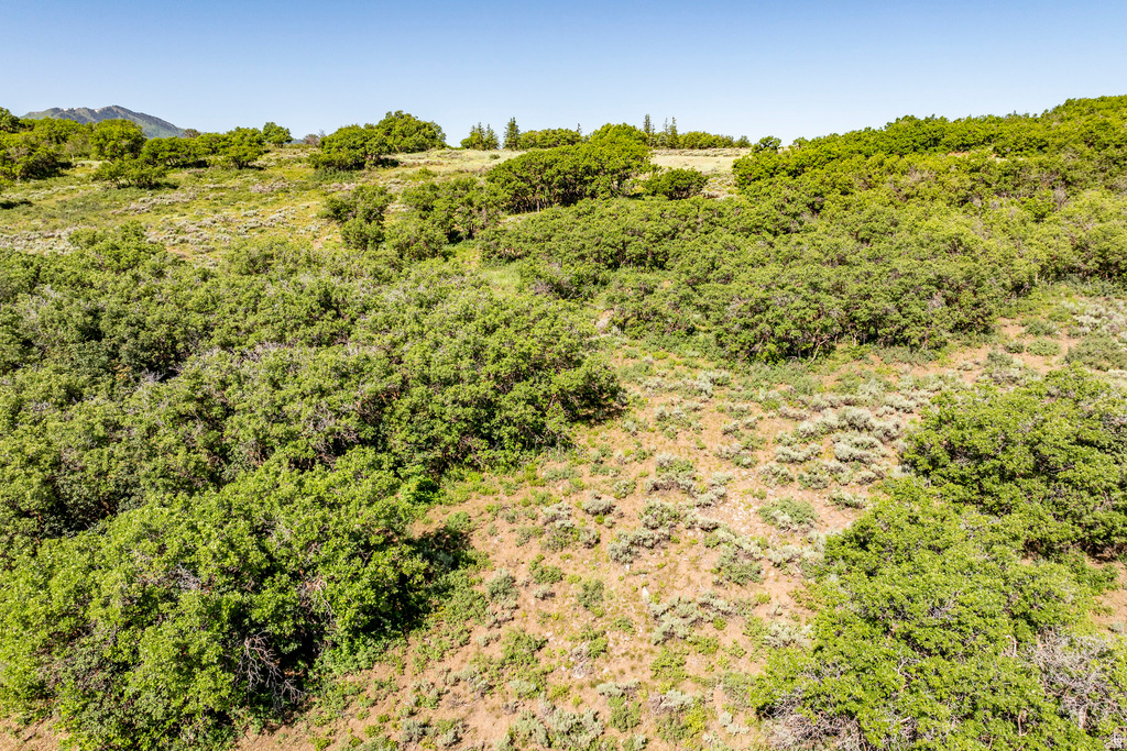 1625 W RED HAWK TRL Park City, UT 84098