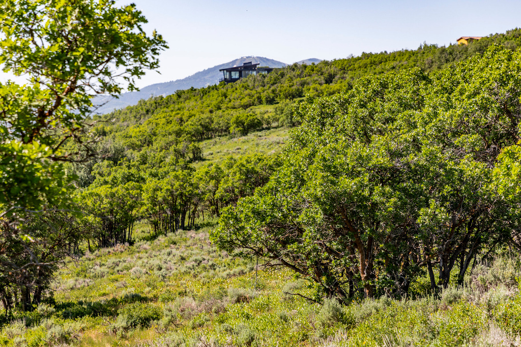 1625 W RED HAWK TRL Park City, UT 84098