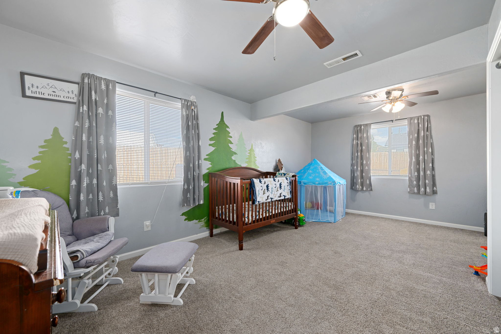 348 N LODGE RD Central, UT 84722