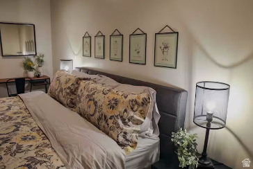 501 N VENTURA LN Washington, UT 84780