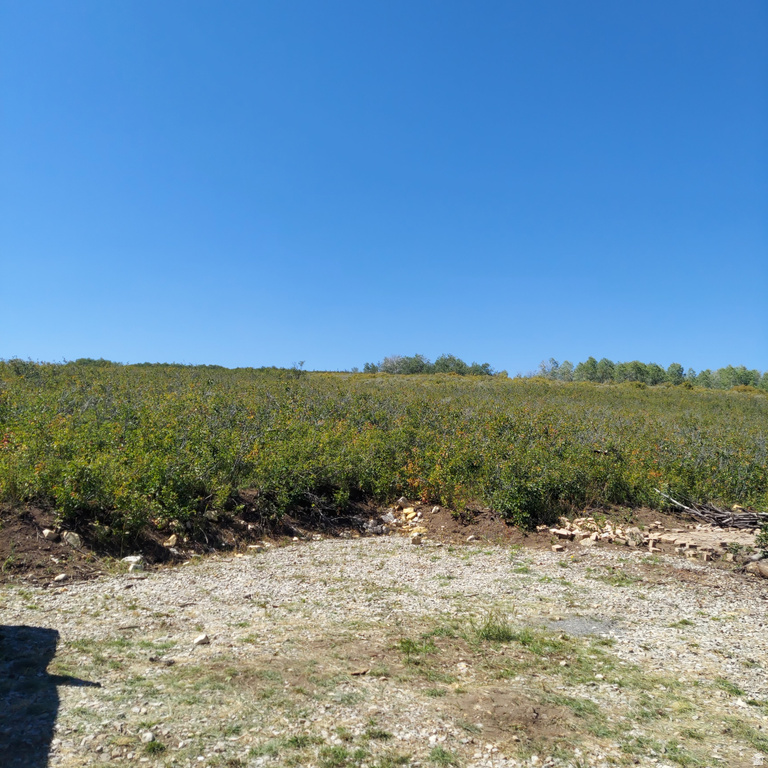 1 E POWDER MTN CIR Spanish Fork, UT 84660