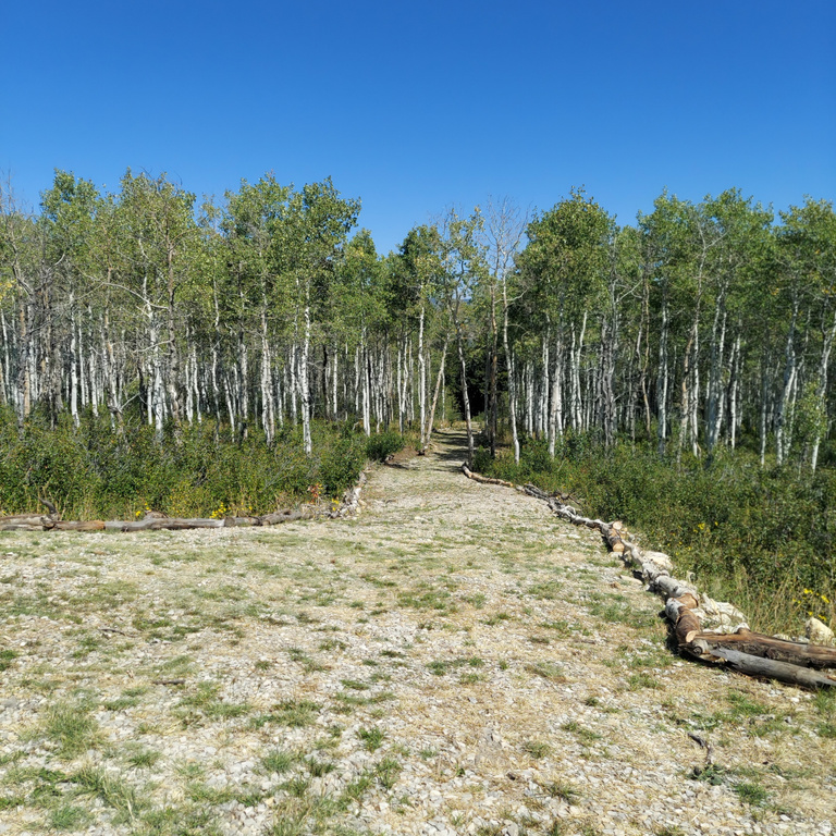 1 E POWDER MTN CIR Spanish Fork, UT 84660