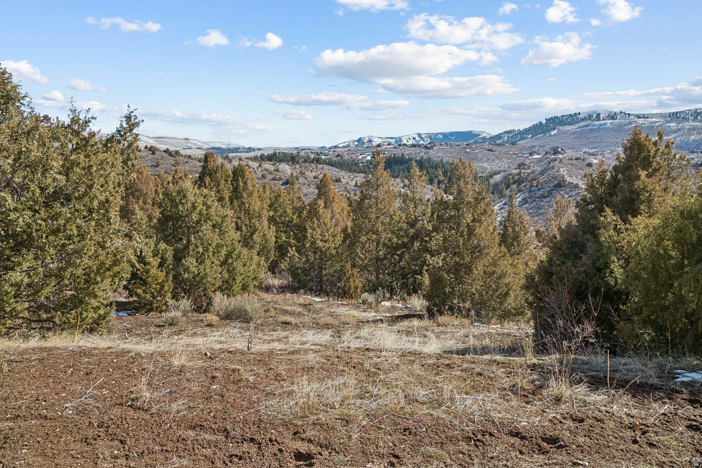 8665 E LAKE RD Heber City, UT 84032