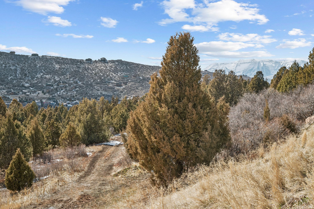 8665 E LAKE RD Heber City, UT 84032