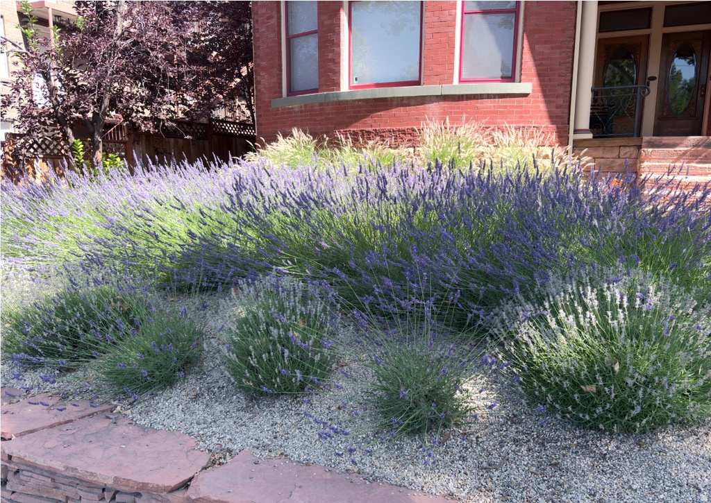 729 E 3RD AVE Salt Lake City, UT 84103