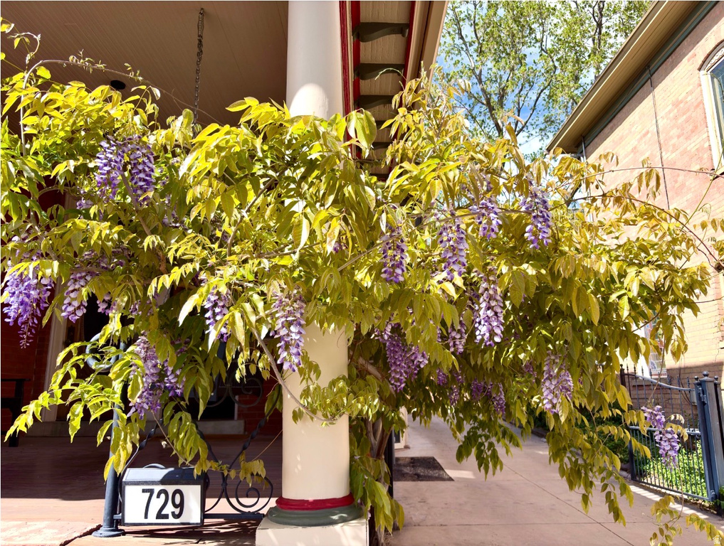 729 E 3RD AVE Salt Lake City, UT 84103