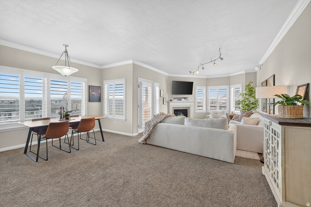 5 S 500 W #707 Salt Lake City, UT 84101