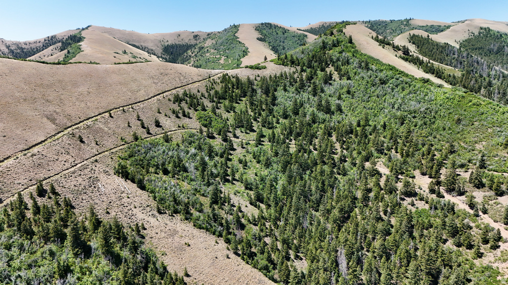 7500  SPRING CANYON RD Helper, UT 84526