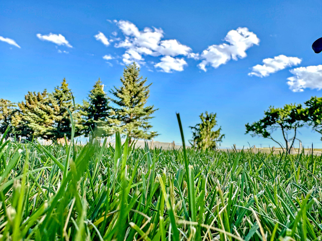 6995 W 2200 S Weston, ID 83286