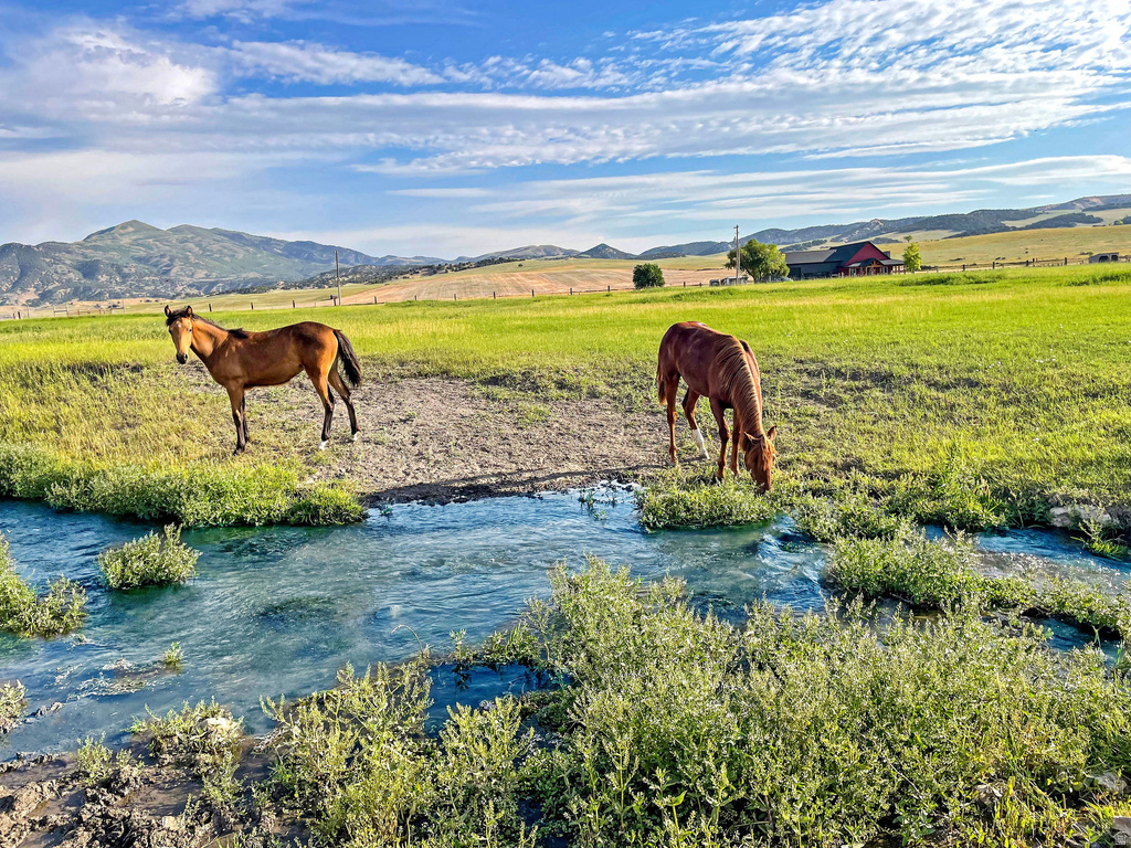 6995 W 2200 S Weston, ID 83286