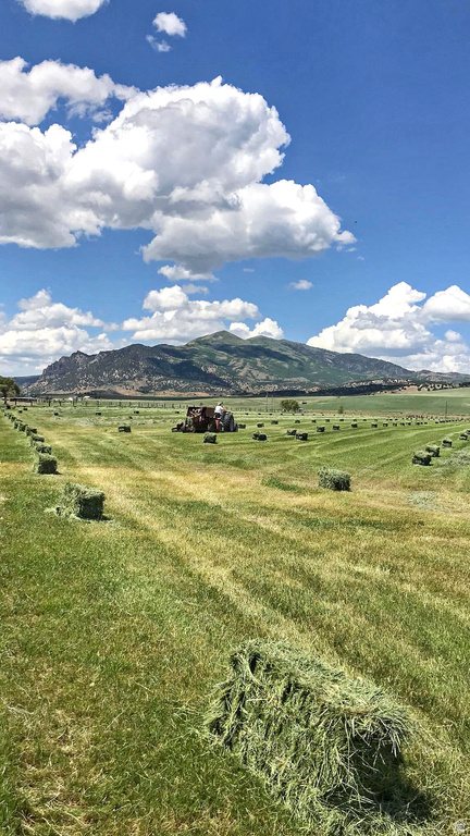 6995 W 2200 S Weston, ID 83286