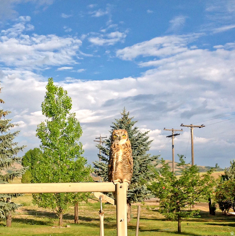 6995 W 2200 S Weston, ID 83286