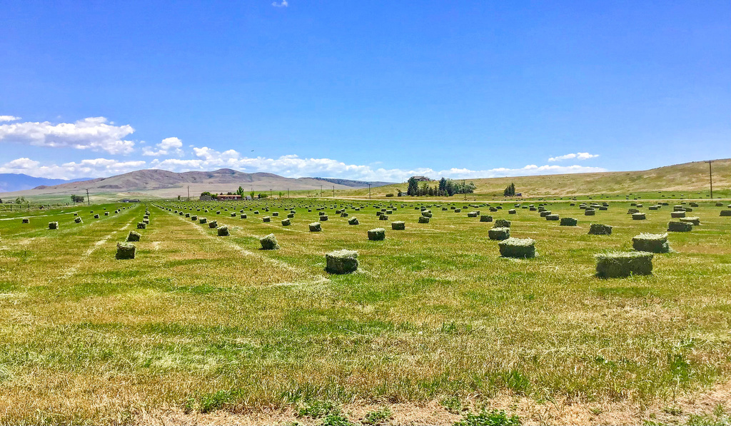 6995 W 2200 S Weston, ID 83286