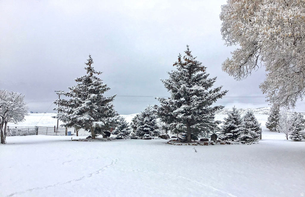 6995 W 2200 S Weston, ID 83286