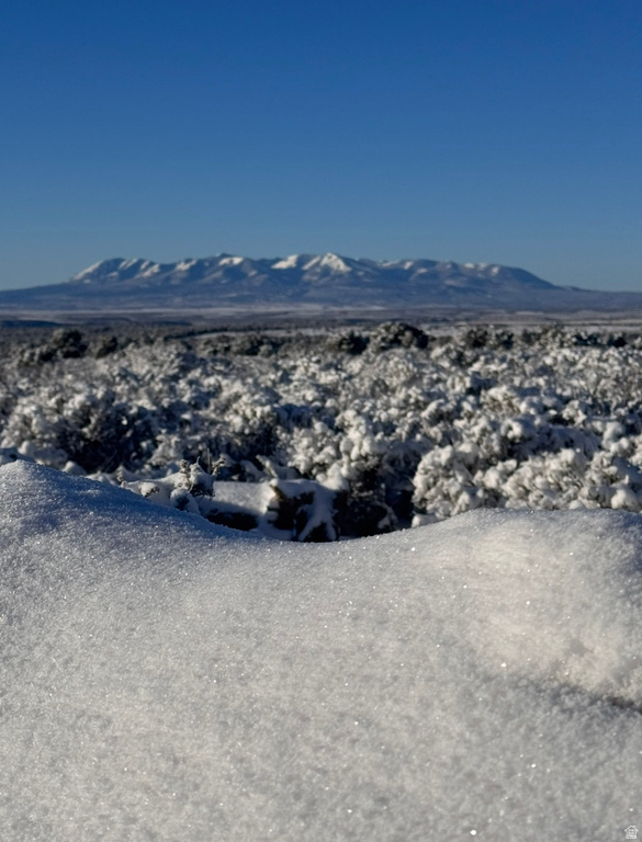 389 N OLD SUMMIT RD Monticello, UT 84535