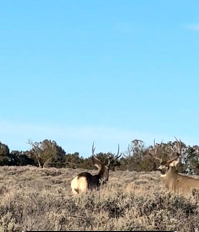 389 N OLD SUMMIT RD Monticello, UT 84535