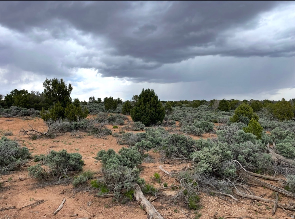 389 N OLD SUMMIT RD Monticello, UT 84535