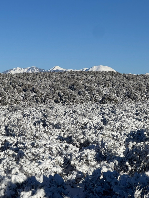 389 N OLD SUMMIT RD Monticello, UT 84535