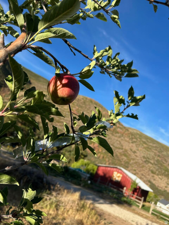 4611 S COVE LN Daniel, UT 84032