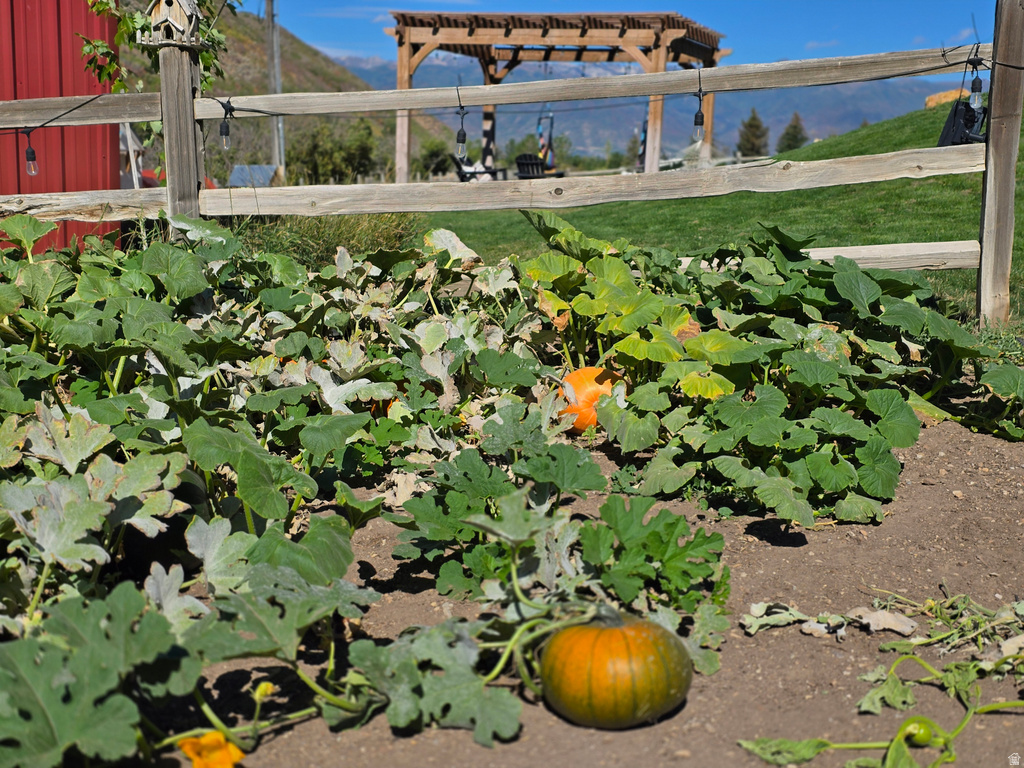 4611 S COVE LN Daniel, UT 84032