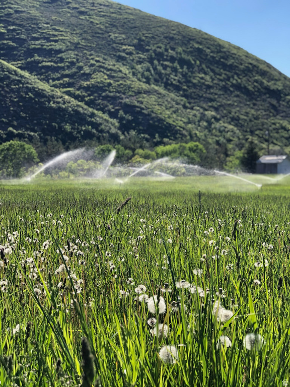 4611 S COVE LN Daniel, UT 84032