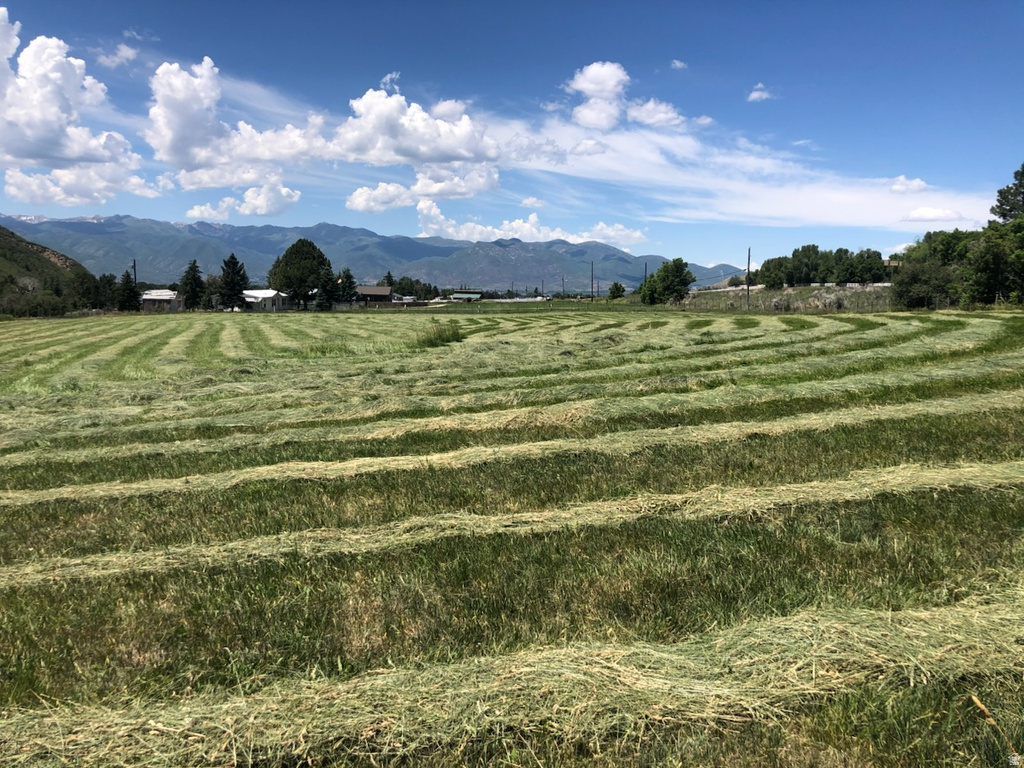 4611 S COVE LN Daniel, UT 84032