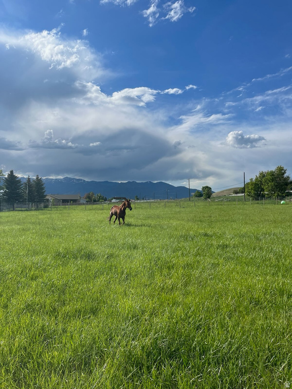 4611 S COVE LN Daniel, UT 84032