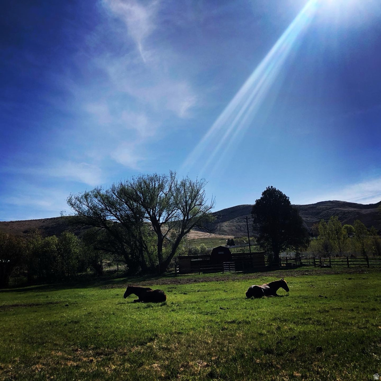 4611 S COVE LN Daniel, UT 84032