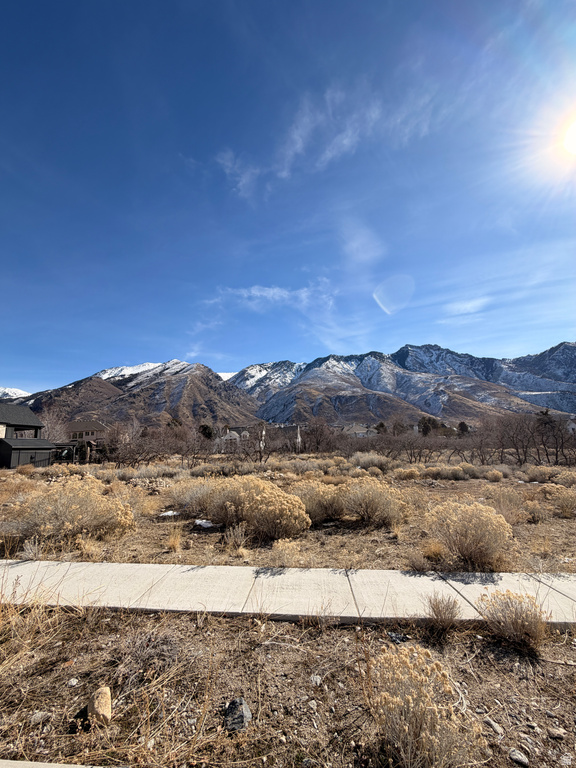 1664 N DEAN CT Alpine, UT 84004